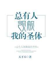 圣体排行