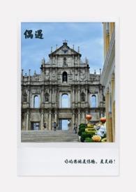 偶遇很难见到吗