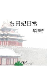 贾贵妃日常评论