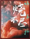 烧不尽第几章分手