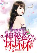 闪婚蜜爱神密老公
