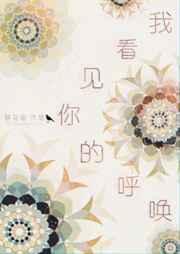 我看见你的呼唤简介