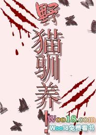 野猫驯养txt