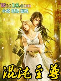 混沌至尊鼎免费阅读