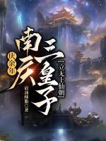 南庆三皇子是谁