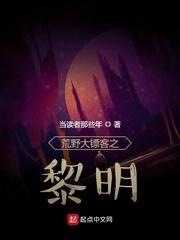 荒野大镖客全攻略