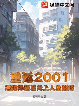 重返2001叶枫无弹窗