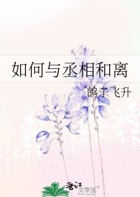 如何与丞相和离txt番外