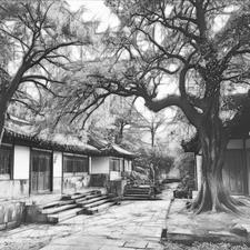 账房先生比喻什么人