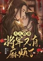 夫人将军又活
