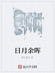 日月挣辉