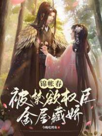 锦帐春被禁欲权臣金屋藏娇