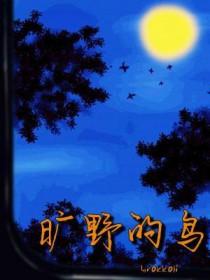 旷野的鸟bybrokkoilTXT文档