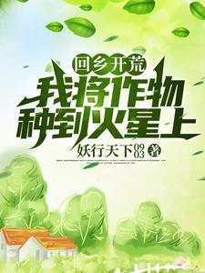 中国棋魂同人文