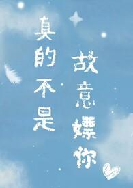 真的不是故意嫖你(校园1v1)(闪烁的星)