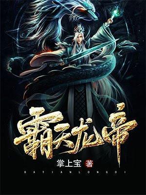 霸天龙帝主角老婆