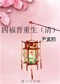 四福晋重生文系列