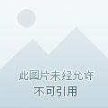 全民领主我的亡灵骷髅亿亿万 汐志