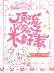 顶流的小兔子不好惹书评
