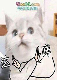 翻身仗先婚后爱原著叫什么名字