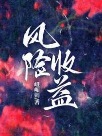 风险收益比高好还是低好