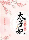 太子妃娇宠日常1v2