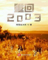 重回2003小渔村无错版
