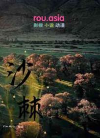 沙棘原浆的功效与作用与主治