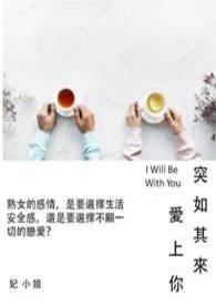 突如其来的爱情歌词什么意思