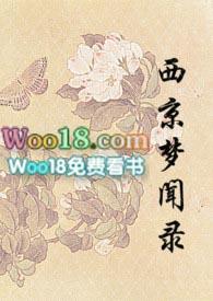西京梦闻录古言po