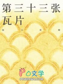 第三十三张瓦片讲的什么故事