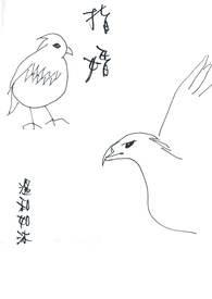 指婚by李砚沈清歌最新章节