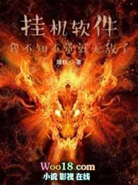 挂机软件 最新章节 无弹窗