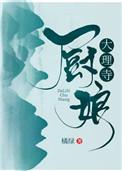 大理寺厨娘讲的什么