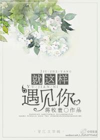 就这样遇见你要怎么奇迹歌词