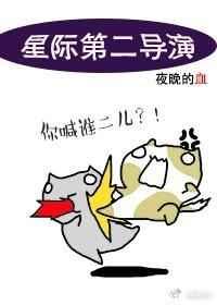 星际的导演