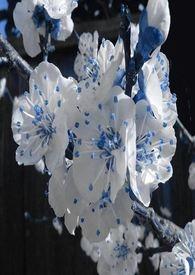 春秋航空推出首乘旅客服务