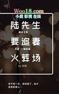 陆先生追妻火葬场最新章节更新时间表