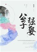 公子强娶番外大结局