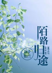 陌路归途动漫在线观看