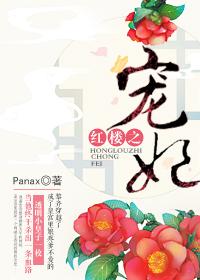 红楼之宠妃文学楼txt