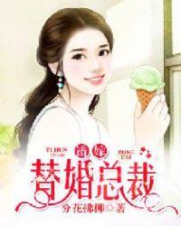 错嫁替婚总裁沈陆崇明