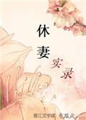 休妻实录无防盗