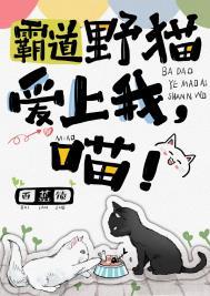 霸道小猫