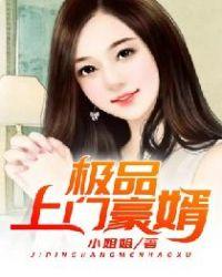 极品上门豪婿都市青灯著