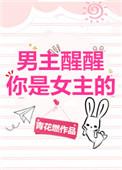 男主醒醒你是女主的!作者青花燃