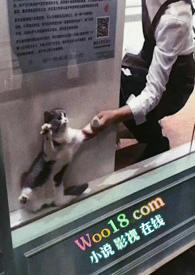 余初心楚铭短剧