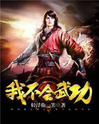 我不会武功武功境界