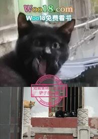短篇集锦 梦满枝