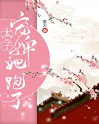 太子宠婢她跑了月见溪